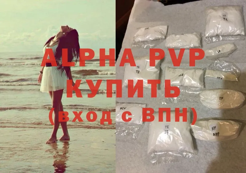 A-PVP СК Кингисепп