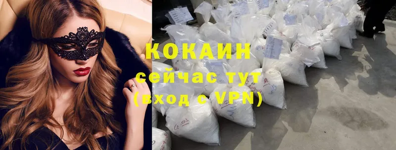 Cocaine Эквадор  наркотики  mega ссылка  Кингисепп 