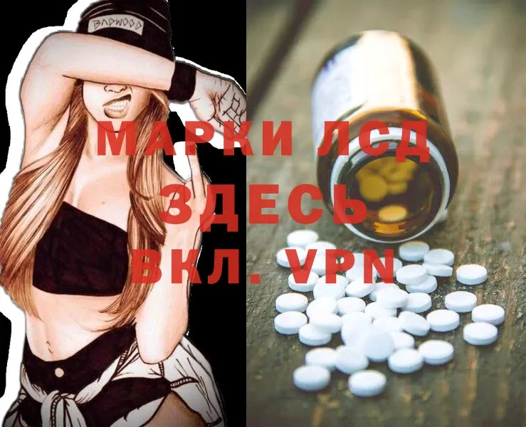 Лсд 25 экстази ecstasy  Кингисепп 